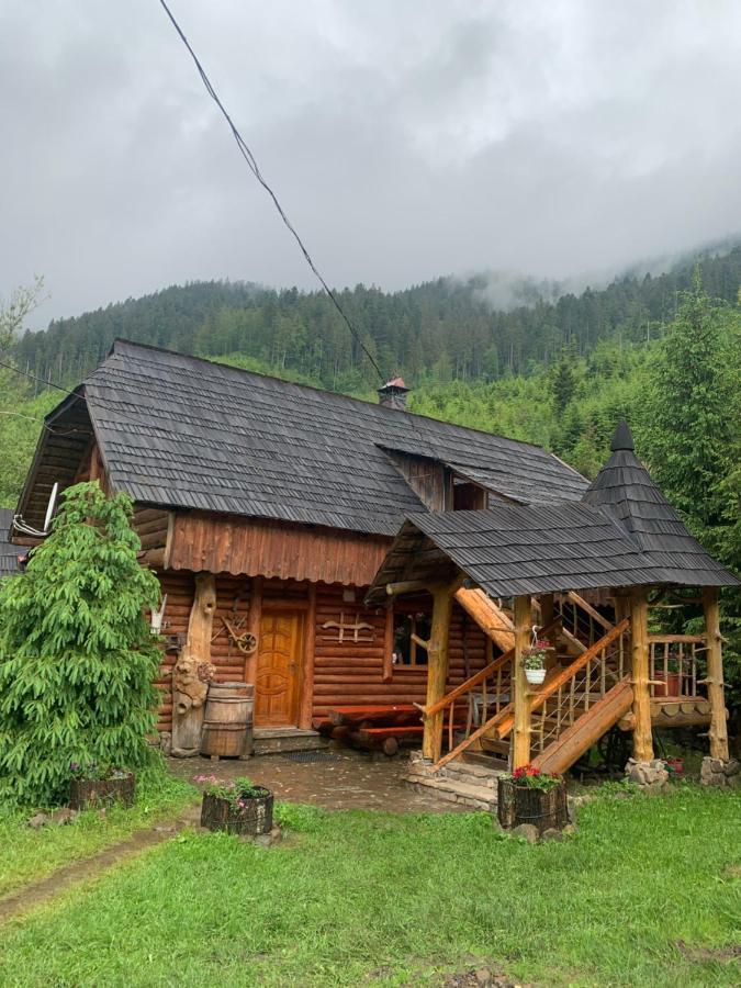 Будинок Художника Синевирская Поляна Экстерьер фото
