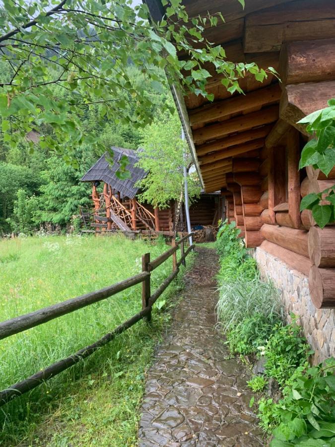 Будинок Художника Синевирская Поляна Экстерьер фото